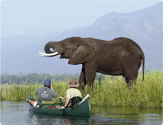 About TimorlesteTenders